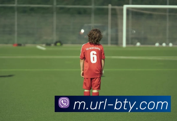 必一运动发展历程